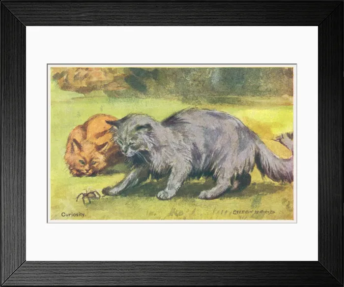 Framed Print : Cats Playing with a Spider Framed Print : Cats Playing with a Spider