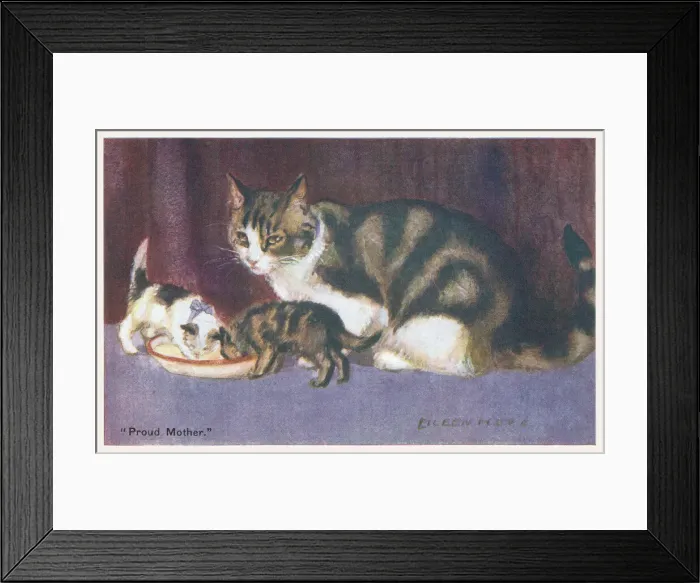 Framed Print : Cat and Kittens Framed Print : Cat and Kittens