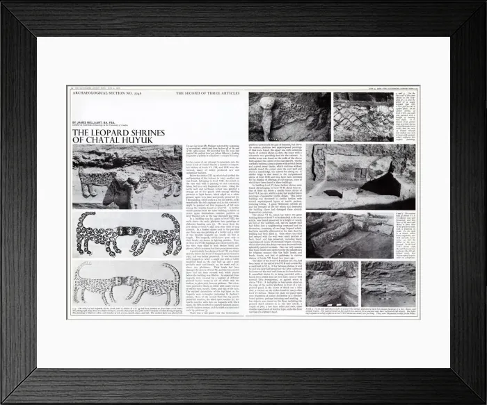 Framed Print : (insert). 1966 Framed Print : (insert). 1966