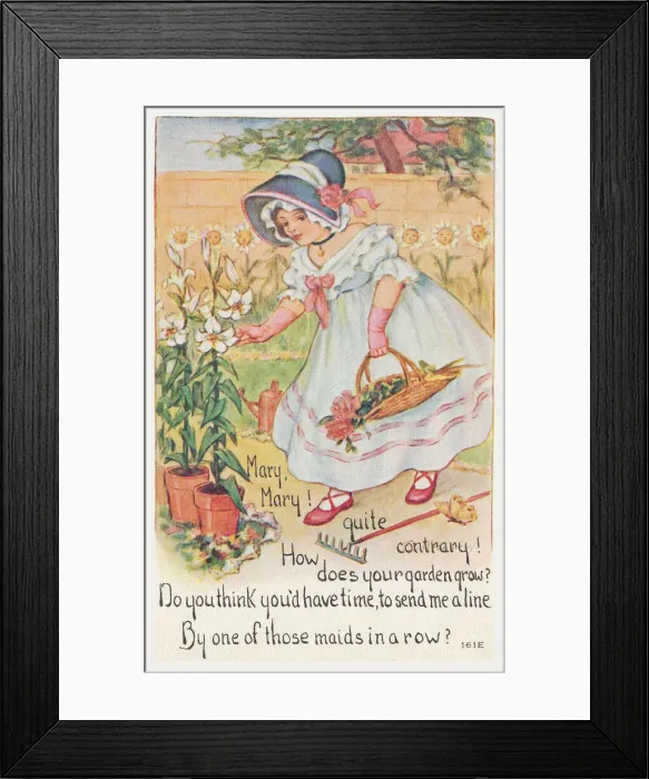 Framed Print : Mary Mary Quite Contrary Framed Print : Mary Mary Quite Contrary