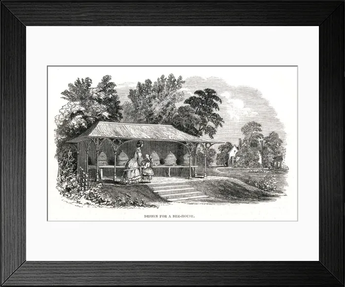 Framed Print : 13311984 Framed Print : 13311984