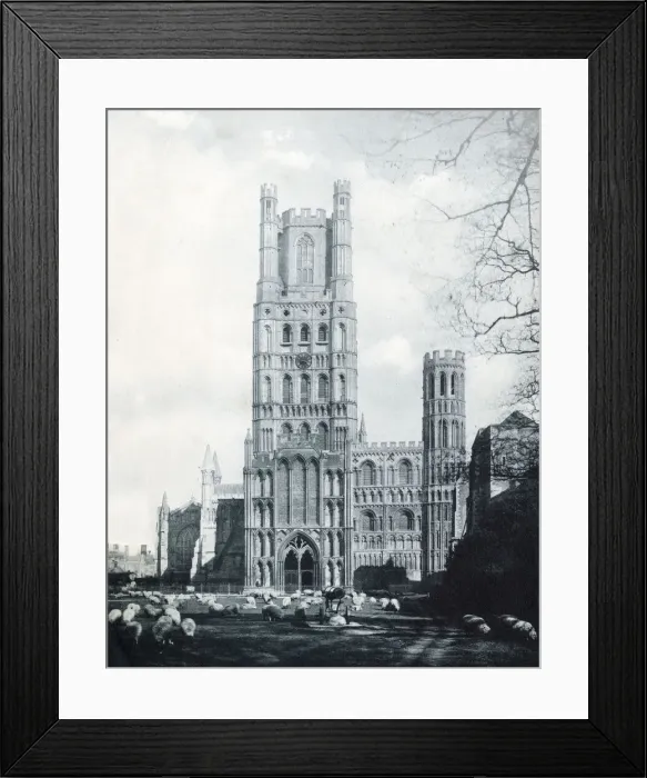 Framed Print : 13311990 Framed Print : 13311990