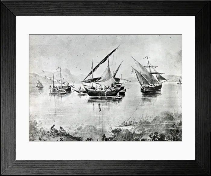 Framed Print : 13312012 Framed Print : 13312012
