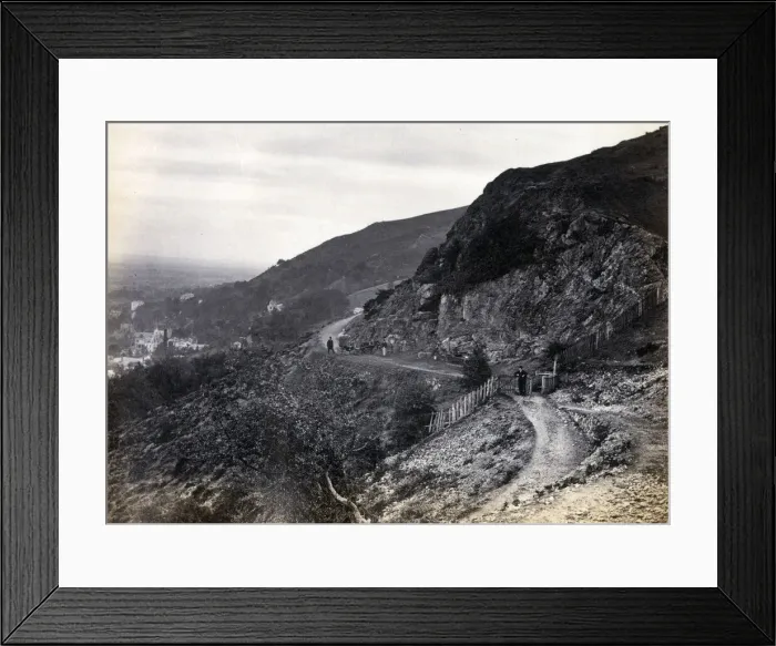 Framed Print : 13312021 Framed Print : 13312021