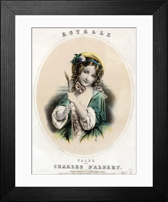 Framed Print : 13312026 Framed Print : 13312026