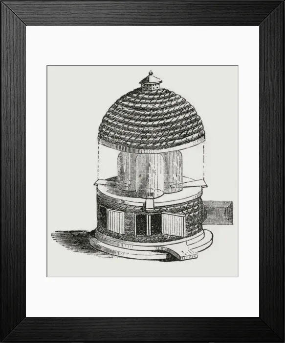Framed Print : 13312038 Framed Print : 13312038