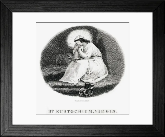 Framed Print : 13312055 Framed Print : 13312055