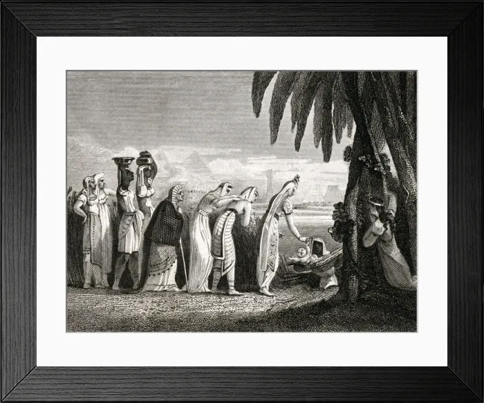 Framed Print : 13312086 Framed Print : 13312086