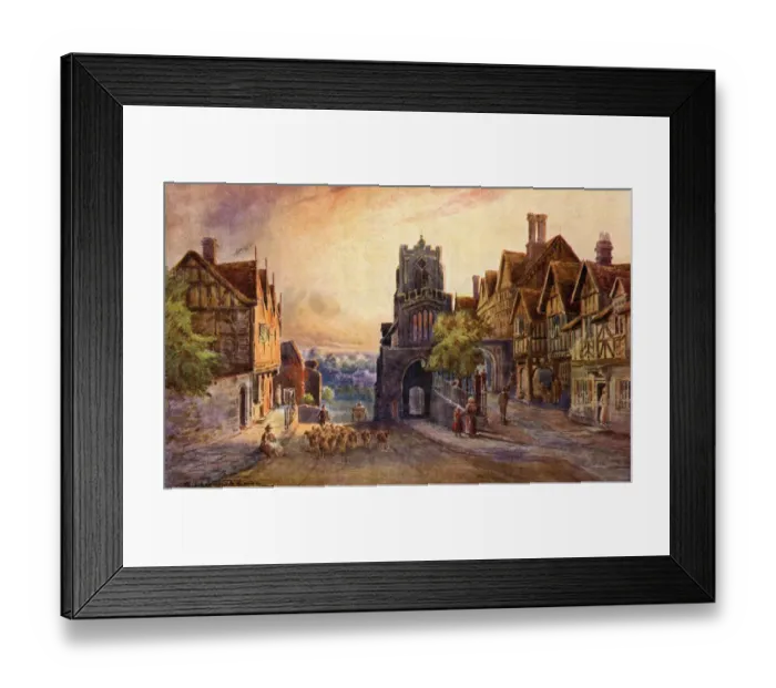 Framed Print : 13312123