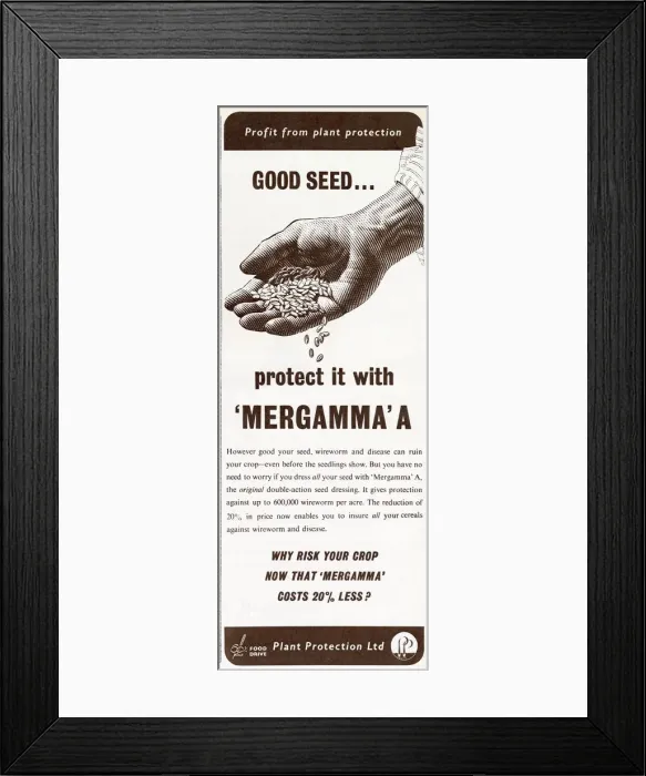 Framed Print : Mergamma pesticide advert, 1954 Framed Print : Mergamma pesticide advert, 1954