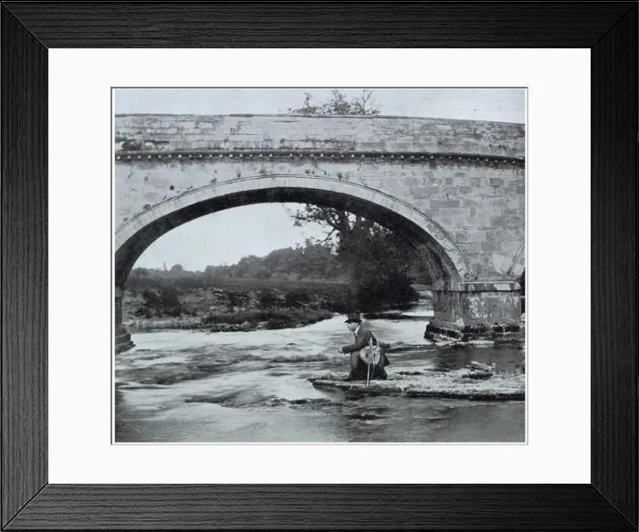 Framed Print : 13336012 Framed Print : 13336012
