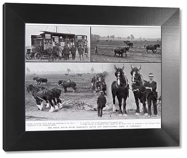 The Royal South Bucks ploughing match and agricultural show at Cippenham, 1913. 1