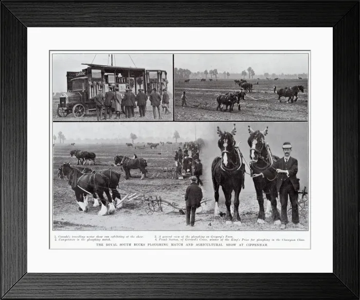 Framed Print : The Royal South Bucks ploughing match and agricultural show at Cippenham, 1913. 1 Framed Print : The Royal South Bucks ploughing match and agricultural show at Cippenham, 1913. 1