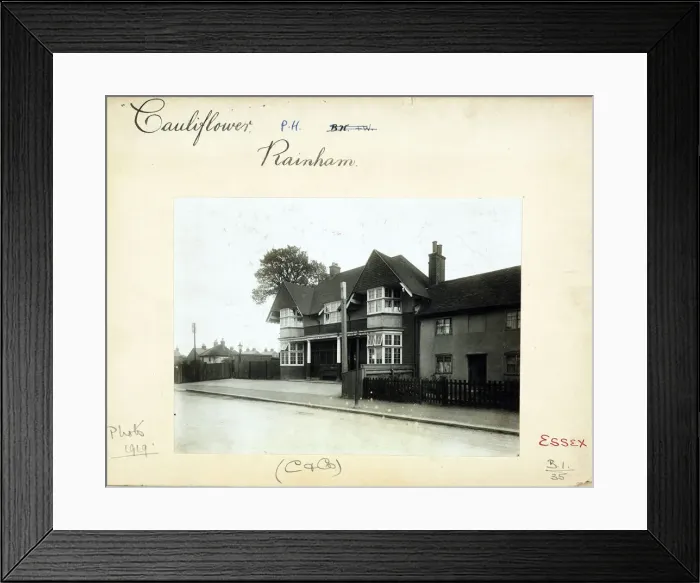 Framed Print : Photograph of Cauliflower PH, Rainham, Greater London Framed Print : Photograph of Cauliflower PH, Rainham, Greater London