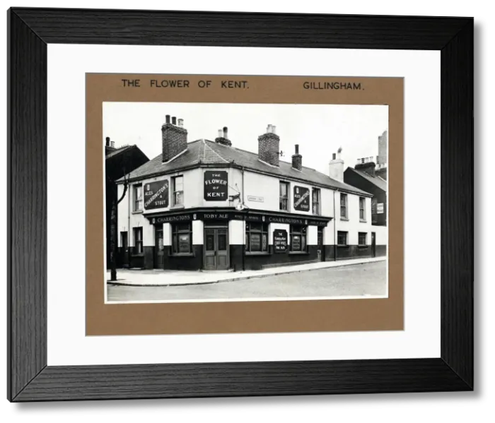 Framed Print : Photograph of Flower of Kent PH, Gillingham, Kent Framed Print : Photograph of Flower of Kent PH, Gillingham, Kent