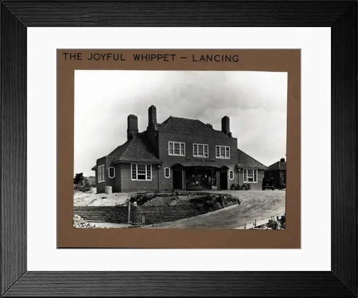 Framed Print : Photograph of Joyful Whippet PH, Lancing, Sussex Framed Print : Photograph of Joyful Whippet PH, Lancing, Sussex
