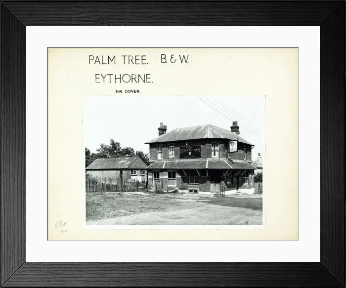 Framed Print : Photograph of Palm Tree PH, Eythorne, Kent Framed Print : Photograph of Palm Tree PH, Eythorne, Kent