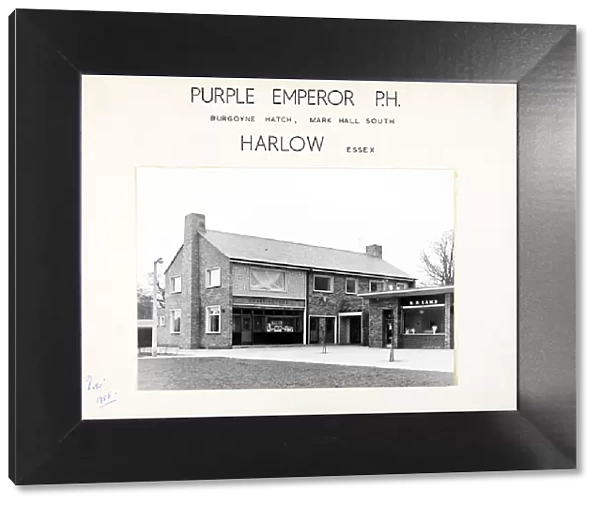 Photograph of Purple Emperor PH, Harlow, Essex