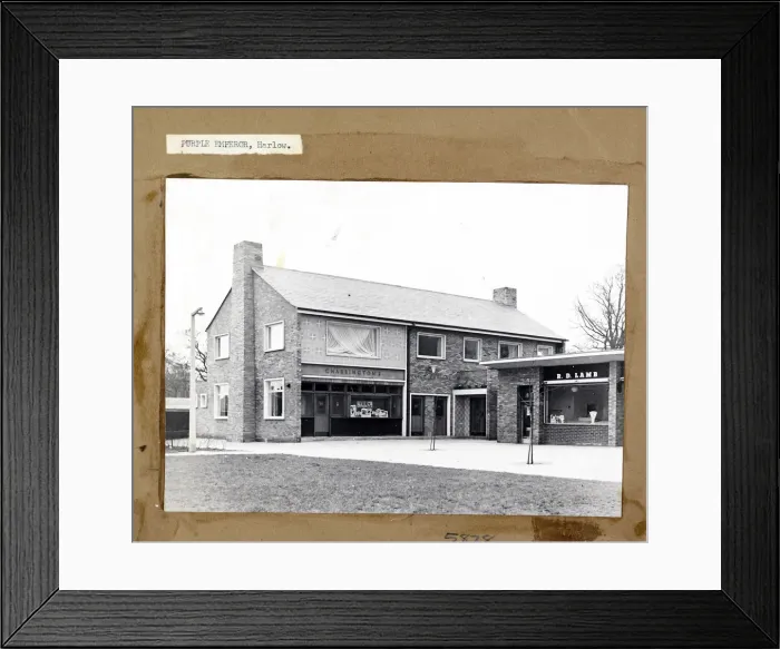 Framed Print : Photograph of Purple Emperor PH, Harlow, Essex Framed Print : Photograph of Purple Emperor PH, Harlow, Essex