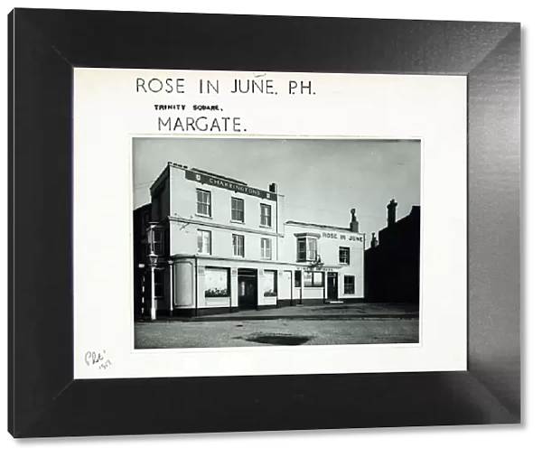 Photograph of Rose In June PH, Margate, Essex