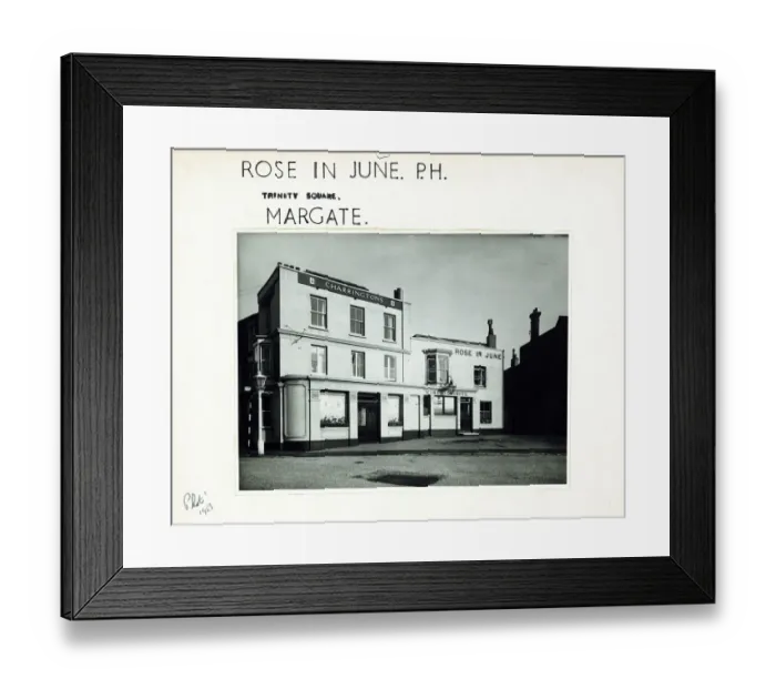 Framed Print : Photograph of Rose In June PH, Margate, Essex Framed Print : Photograph of Rose In June PH, Margate, Essex