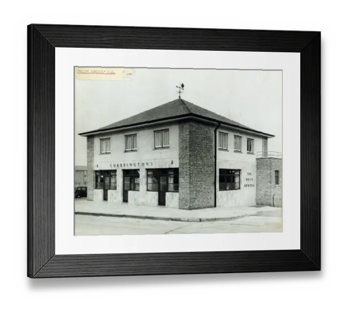 Framed Print : Photograph of White Admiral PH, Harlow, Essex Framed Print : Photograph of White Admiral PH, Harlow, Essex