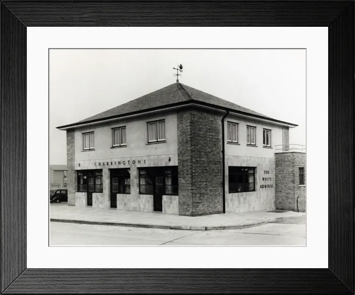 Framed Print : Photograph of White Admiral PH, Harlow, Essex Framed Print : Photograph of White Admiral PH, Harlow, Essex