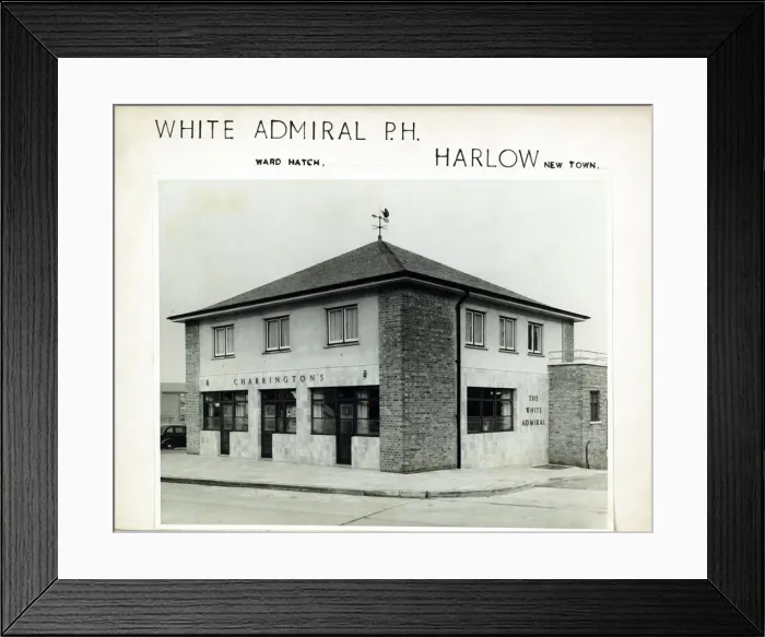 Framed Print : Photograph of White Admiral PH, Harlow, Essex Framed Print : Photograph of White Admiral PH, Harlow, Essex
