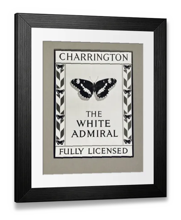 Framed Print : Photograph of White Admiral PH, Harlow, Essex Framed Print : Photograph of White Admiral PH, Harlow, Essex
