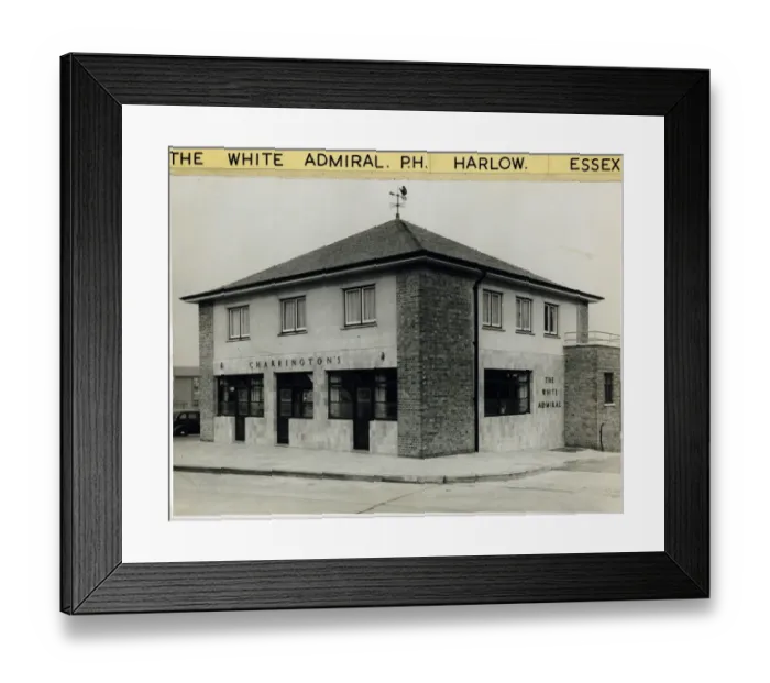 Framed Print : Photograph of White Admiral PH, Harlow, Essex Framed Print : Photograph of White Admiral PH, Harlow, Essex