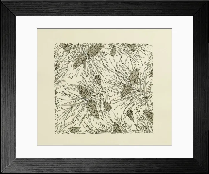 Framed Print : 13343129 Framed Print : 13343129