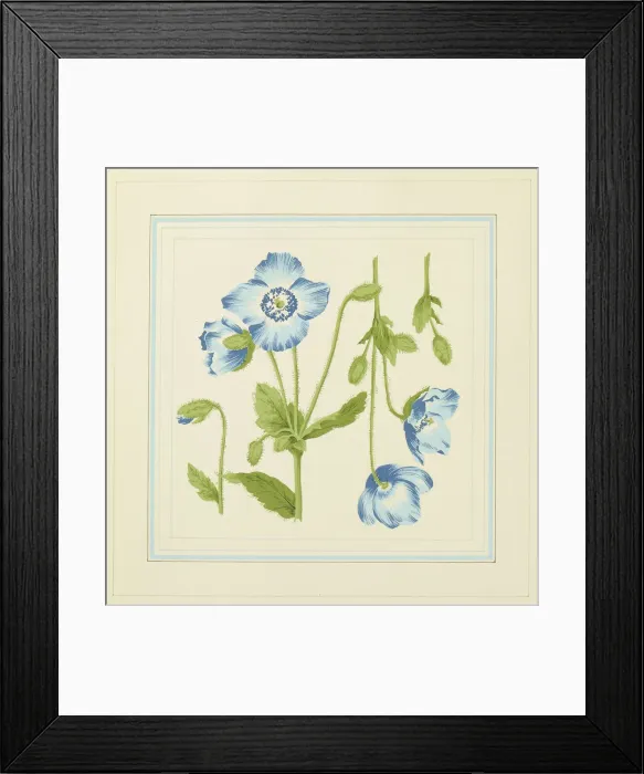 Framed Print : 13343144 Framed Print : 13343144