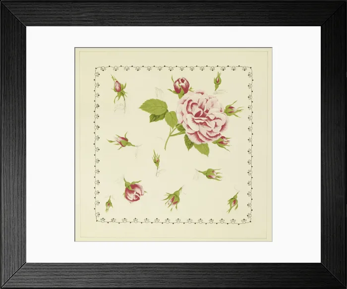Framed Print : 13343166 Framed Print : 13343166