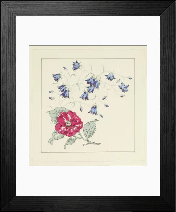 Framed Print : 13343173 Framed Print : 13343173