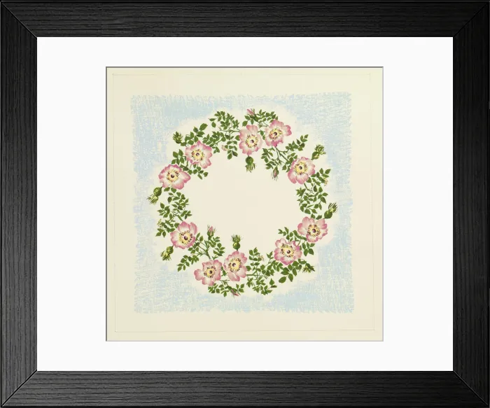 Framed Print : 13343184 Framed Print : 13343184