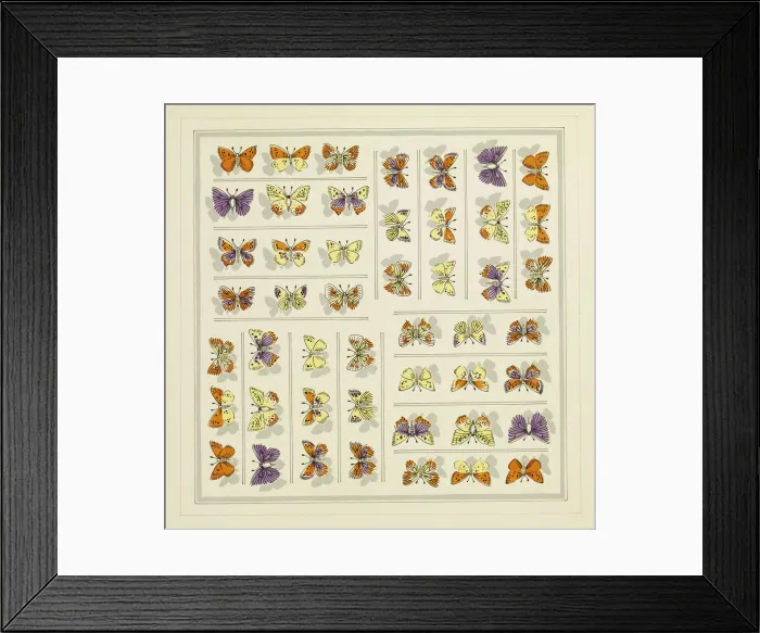 Framed Print : 13343190 Framed Print : 13343190