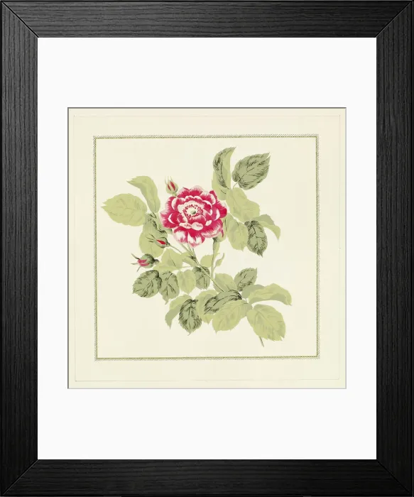 Framed Print : 13343240 Framed Print : 13343240