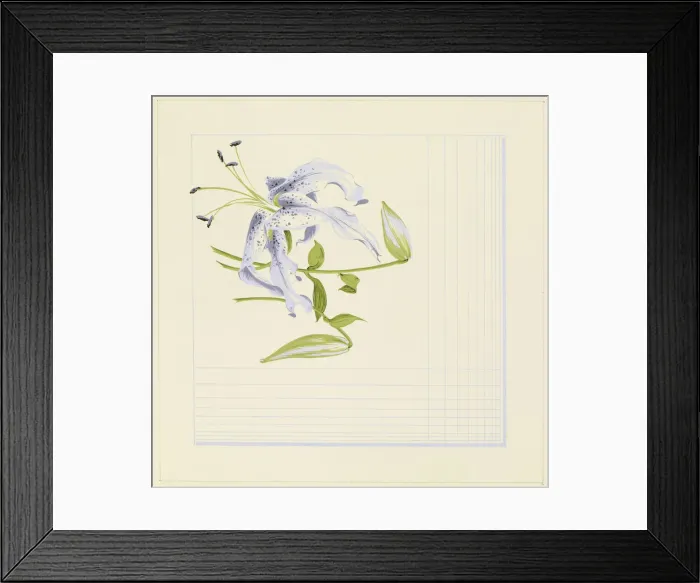 Framed Print : 13343244 Framed Print : 13343244