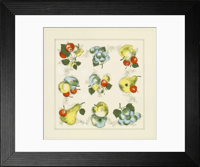 Framed Print : 13343242 Framed Print : 13343242