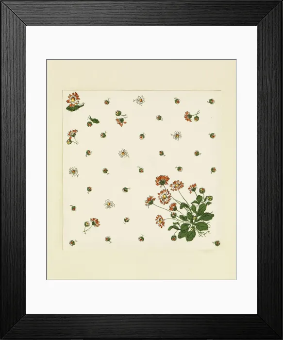 Framed Print : 13343248 Framed Print : 13343248
