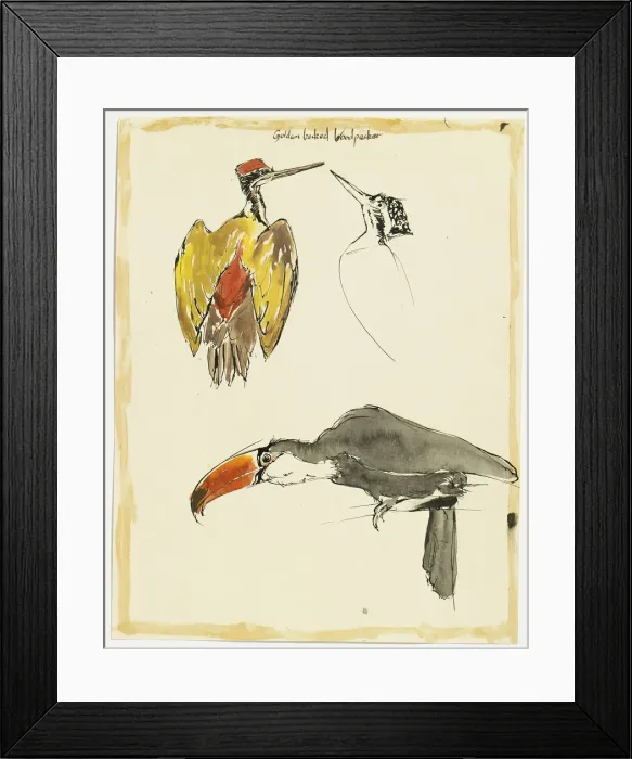 Framed Print : 13343251 Framed Print : 13343251