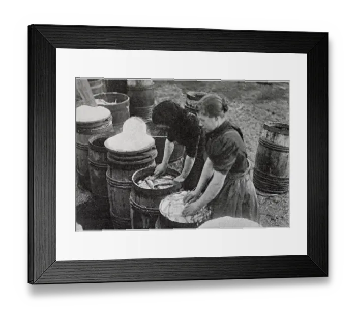 Framed Print : Scotch Herring Women Workers 1902 Framed Print : Scotch Herring Women Workers 1902