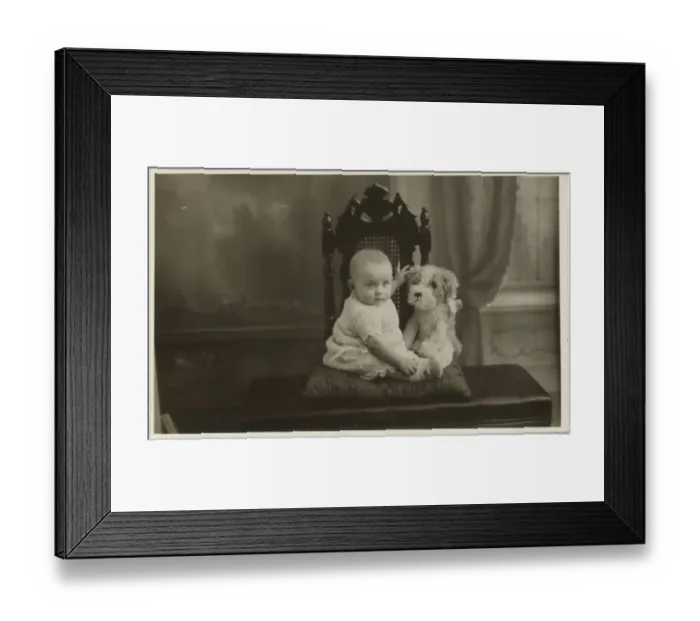 Framed Print : An unimpressed baby has his photograph taken with a cuddly toy dog. Date: c. 1950 Framed Print : An unimpressed baby has his photograph taken with a cuddly toy dog. Date: c. 1950