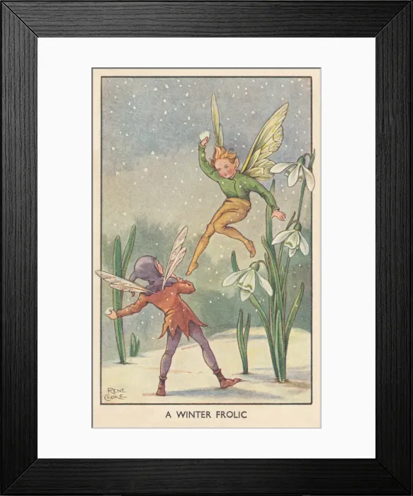 Framed Print : Fairyland. A Winter Frolic. Two fairies snowballing close by some snowdrops Framed Print : Fairyland. A Winter Frolic. Two fairies snowballing close by some snowdrops