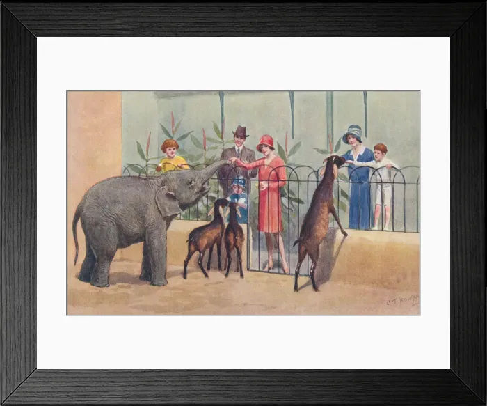 Framed Print : London Zoo Framed Print : London Zoo