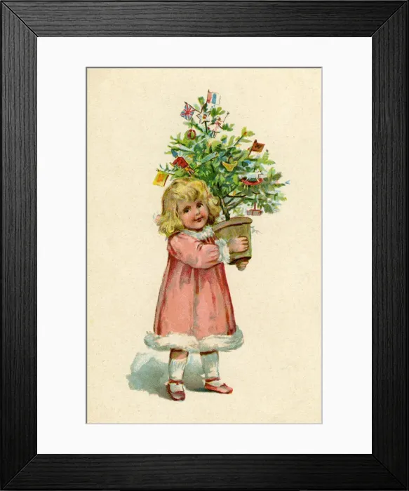 Framed Print : Christmas Tree Framed Print : Christmas Tree