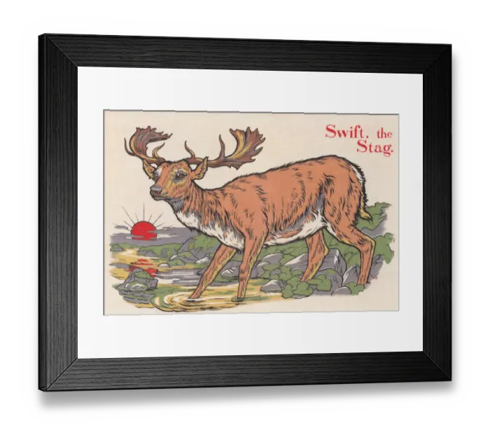 Framed Print : Swift the stag. A male deer walking into a pool at sunset Framed Print : Swift the stag. A male deer walking into a pool at sunset
