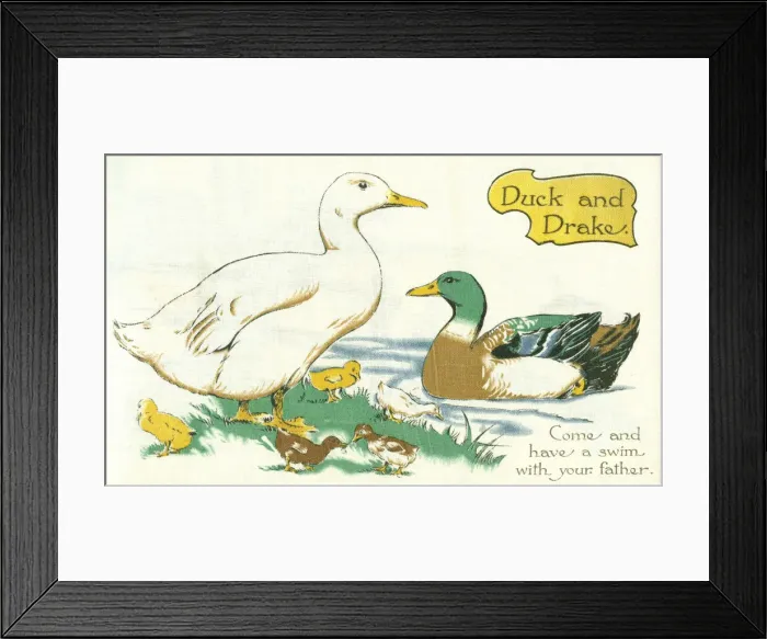 Framed Print : Duck and Drake Framed Print : Duck and Drake
