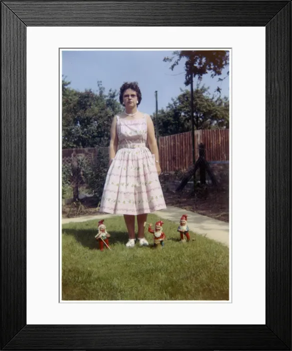 Framed Print : Suburban garden scene - lady and garden gnomes Framed Print : Suburban garden scene - lady and garden gnomes