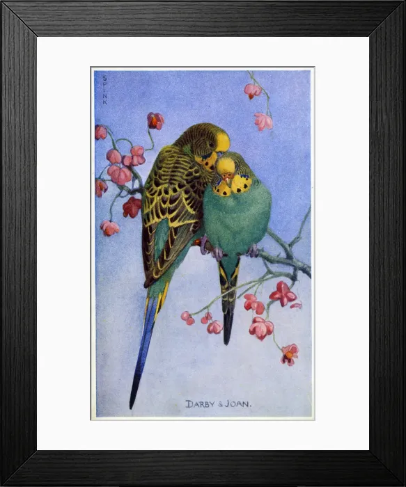 Framed Print : insertcaption Date: circa 1920s Framed Print : insertcaption Date: circa 1920s